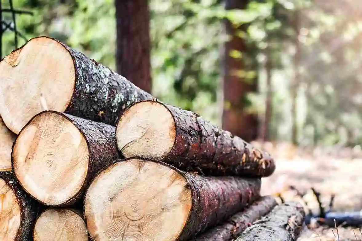 Wood heating systems at a glance